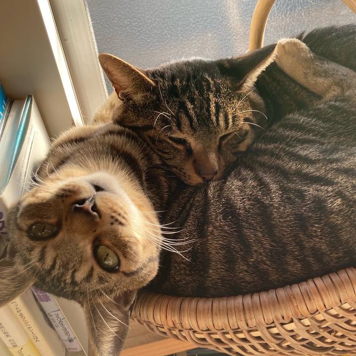 Bc2e3a23 5089 4f21 b6f1 12065e53e62c 1675295910670