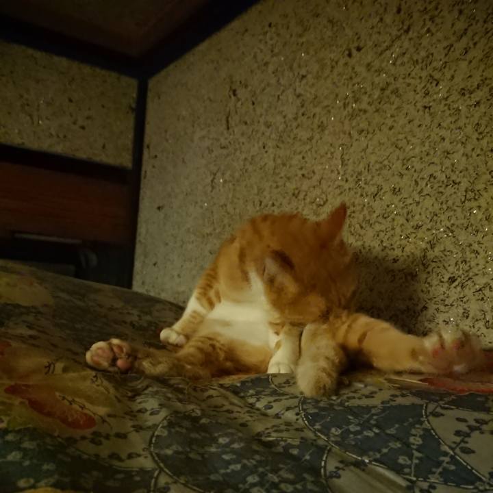 Bc2eb1e8 bbc0 402f 84b1 15716504f4e5 1598532784143