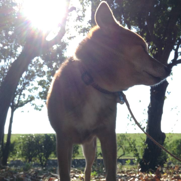 Bc2ed3b4 e264 4bd0 98c5 a6b4d226300b 1510202840888