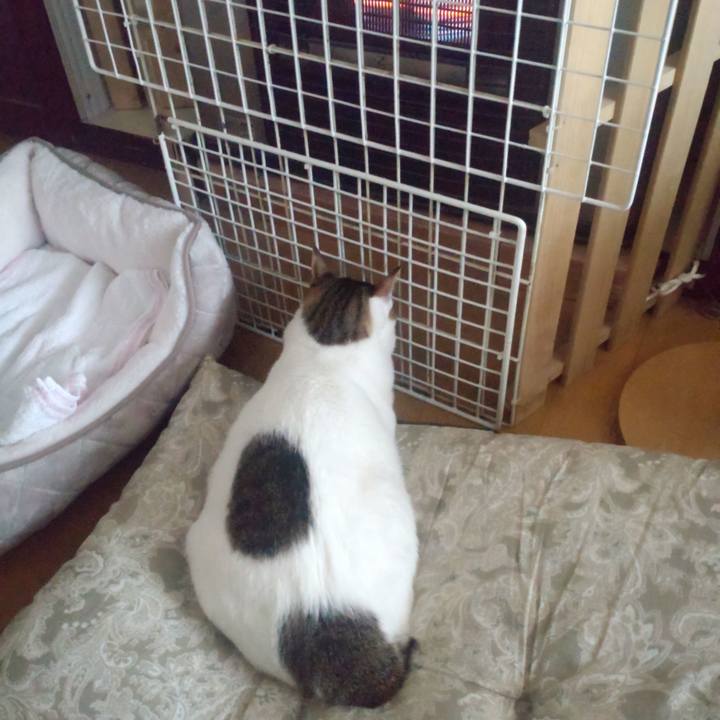 Bc2f02ed 62ee 400c 8bc2 73bea7339afe 1735796842196