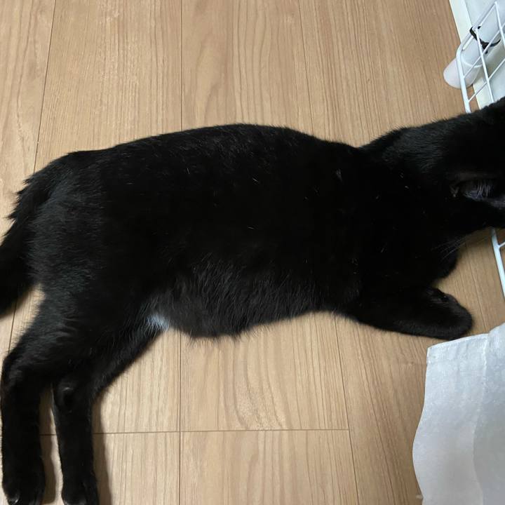 Bc2f1213 1776 443c aee2 963af4c32d33 1625055623255