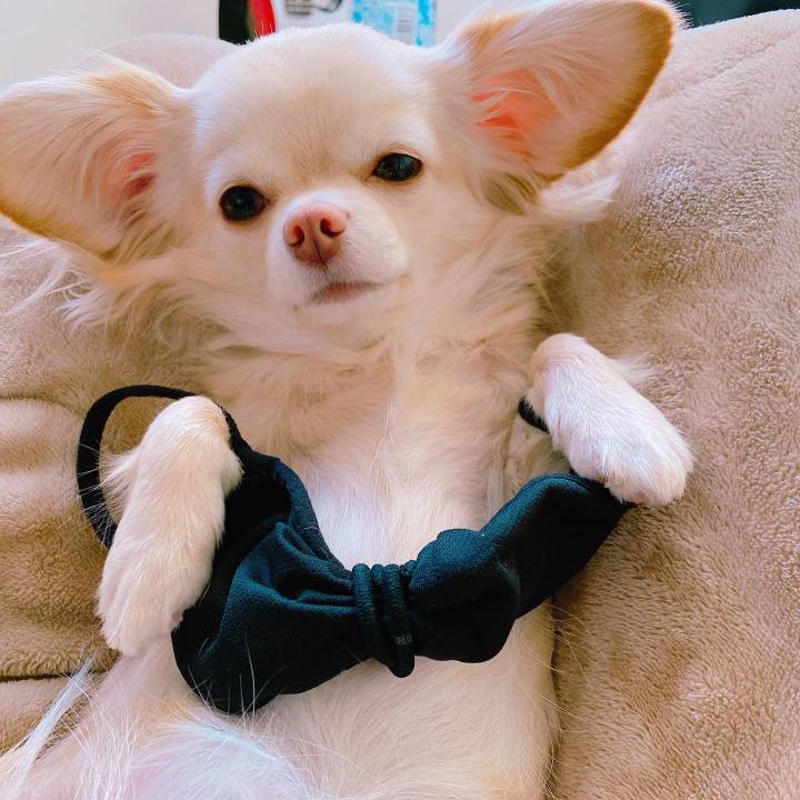 Bc2f2866 a1a7 433b 8b44 bbc190bd92ba 1642478141953