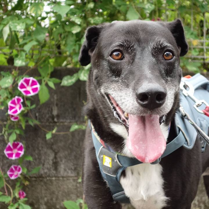 Bc2f4cb5 653f 4290 ab5a 50733784401a 1727569033099