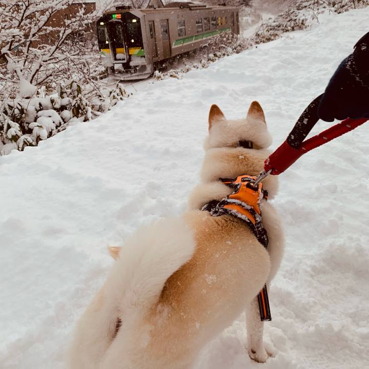 Bc2f5ce0 93c1 45ce 96d5 de0e2f4b757b 1670714912139