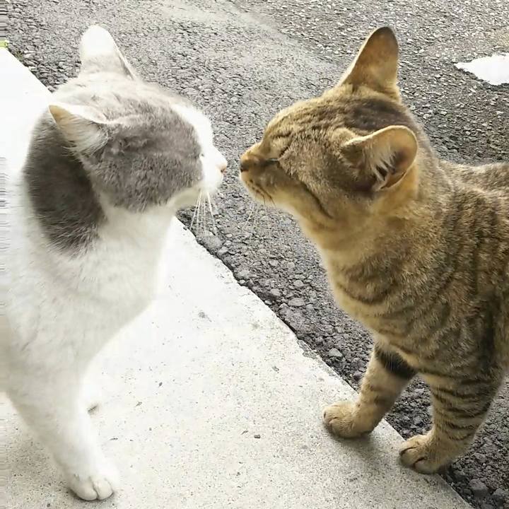 Bc2f6e4b 4f57 4512 b426 e9d70fc75dea 1519193070424