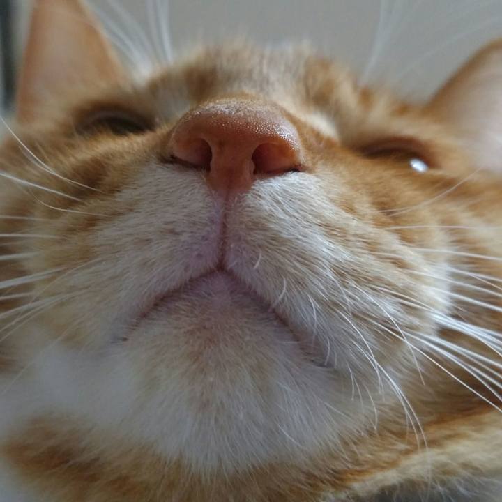 Bc2f7b0a bd06 4a55 a243 ff32d4c1d860 1561988288726