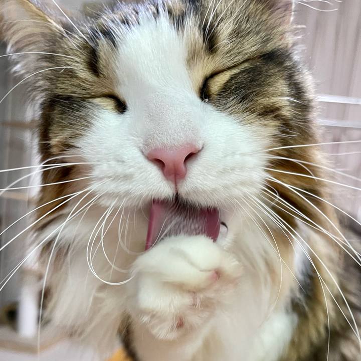 Bc2f7fbf f6ee 49ad 8d13 8052acc78104 1672489855847