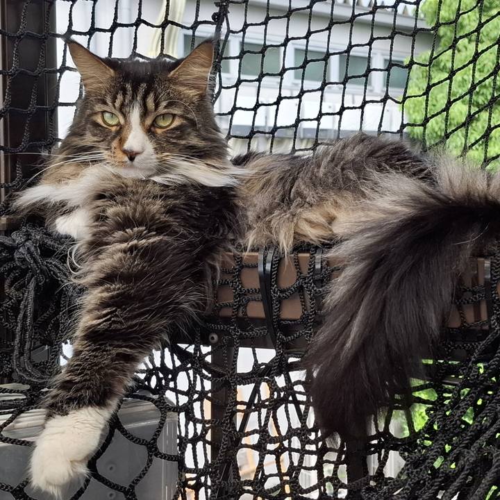 Bc2f9893 d955 4d88 92f1 8fd68cf1ed7d 1749010393473