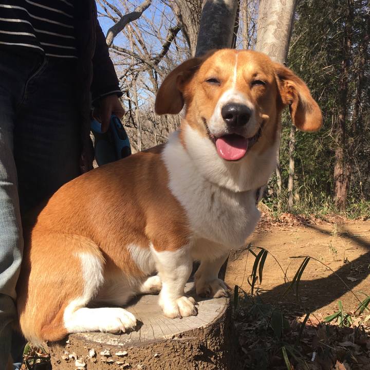 Bc2fa761 62c3 4c68 8222 e017ce017259 1619669101460