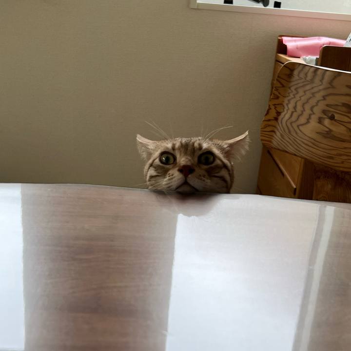 Bc2fe7a2 597b 4c6d a306 1461bf294344 1683936635539