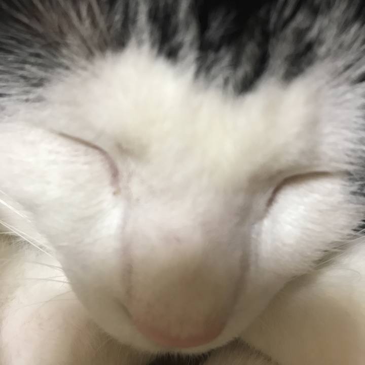 Bc304937 d919 4baf b649 c668b62ae70a 1532272242461