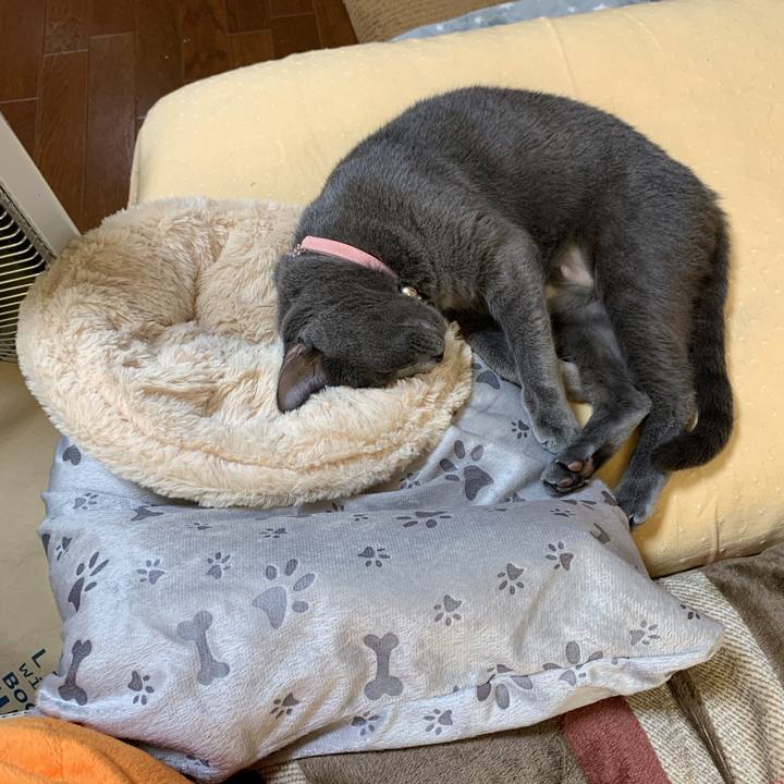 Bc305650 487d 4f5c 8cac 1b61589678b2 1573362009689