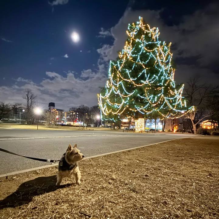 Bc3067d7 6a37 463f a674 5433643458f7 1770033592619