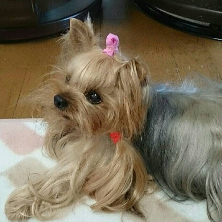 Bc306b74 8b0a 4a23 acff 6039a6ad9b2f 1537863881216