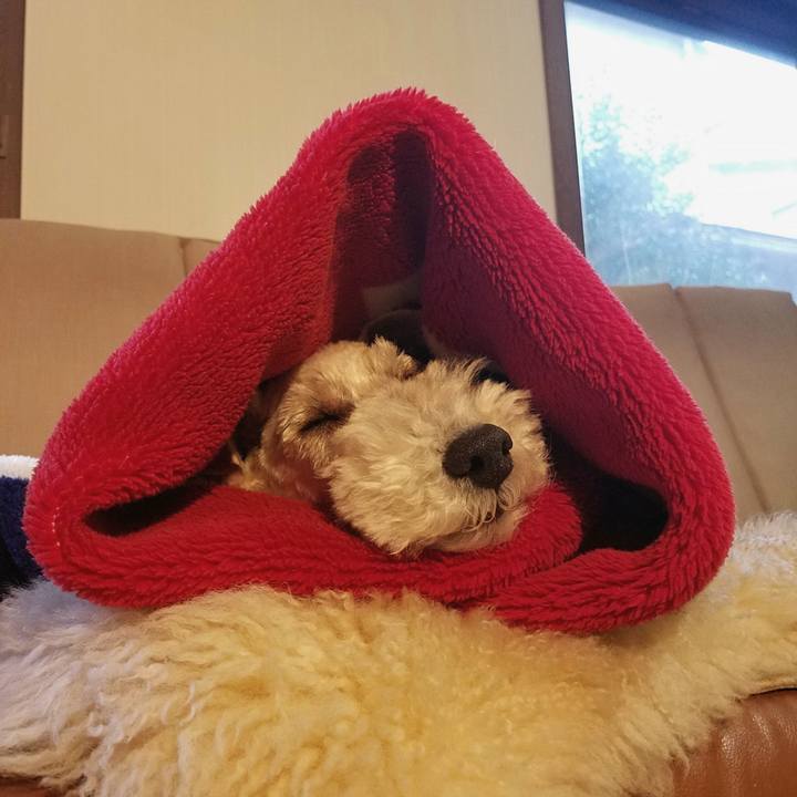 Bc307474 1e12 462b b394 a250cb663399 1552829296696