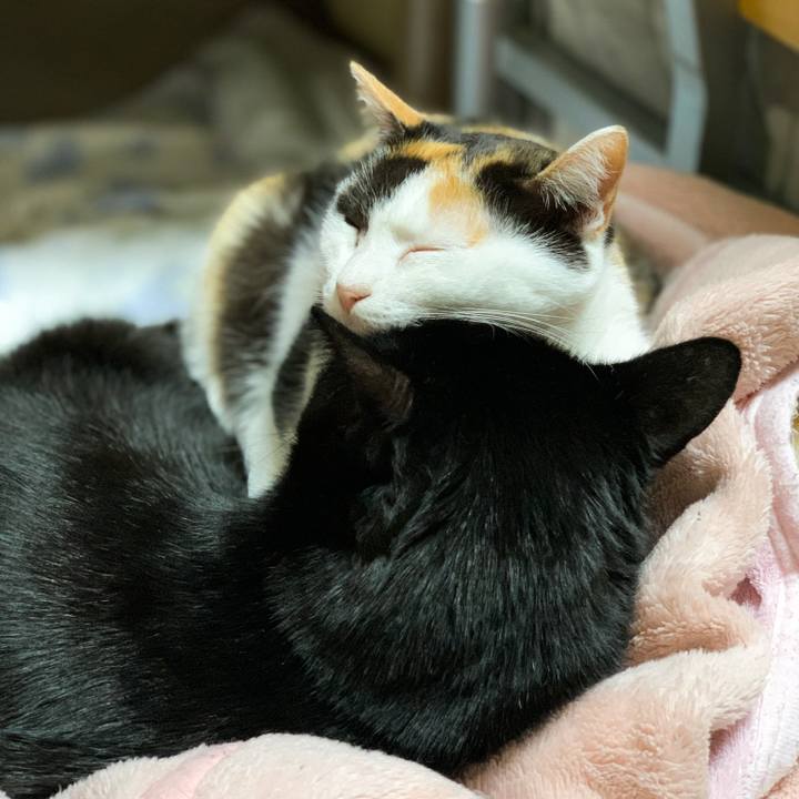 Bc307656 f015 4a69 8fb9 b0607351ce61 1577930833006