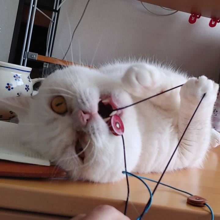 Bc308778 d856 4f1a 9c69 a099e0bb796b 1633225832906