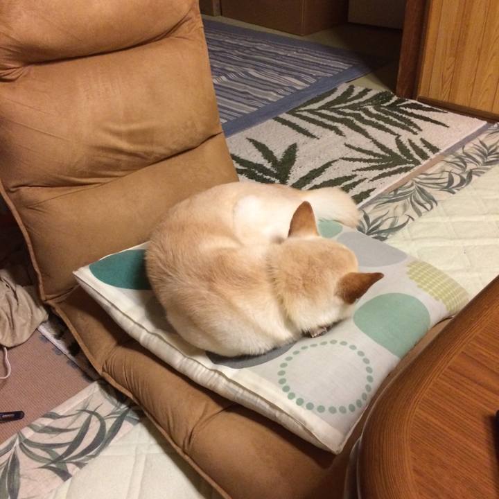 Bc30c194 d2ea 4afe 8592 6fa015801562 1564925995703