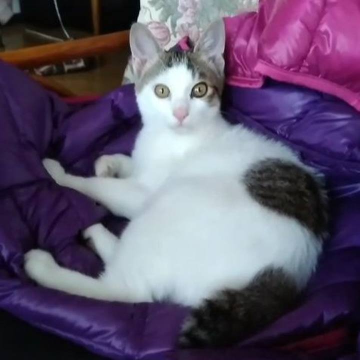 Bc31034f 5450 45aa b108 704595a08349 1639395072500