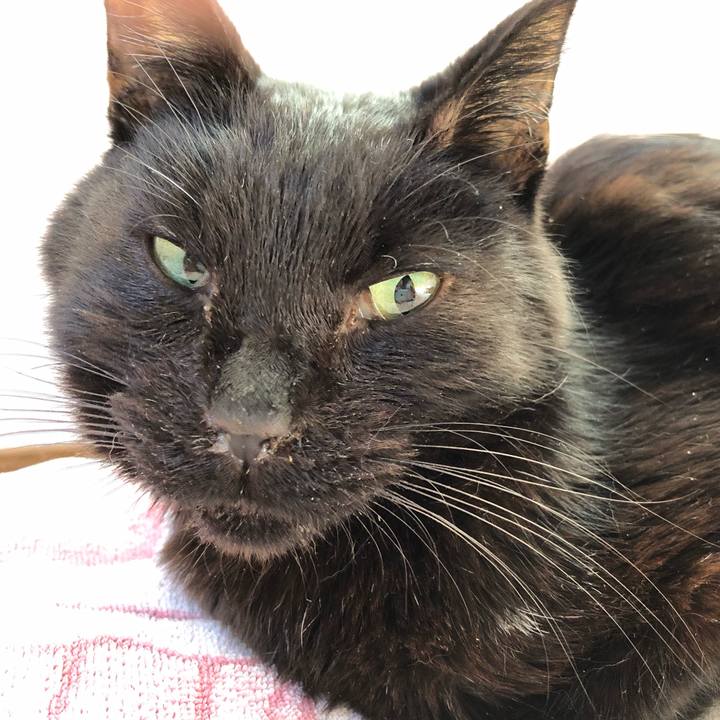 Bc310a71 cfbf 42d5 b429 0b7b0cef305e 1557695178990