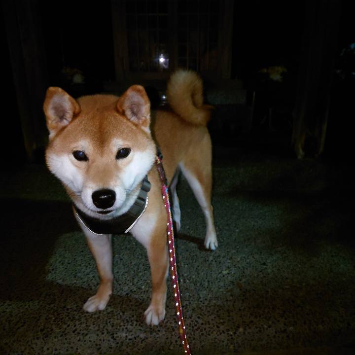 Bc3112b8 f6b0 4b30 9be2 2f0dd0f78089 1764199429574