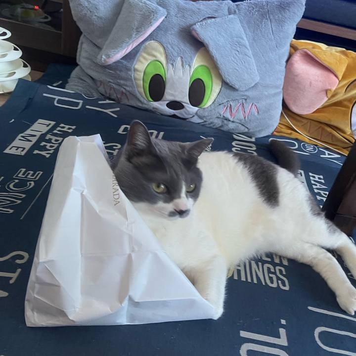 Bc313a61 ec73 4608 8e82 ec040b7683ed 1746334328840