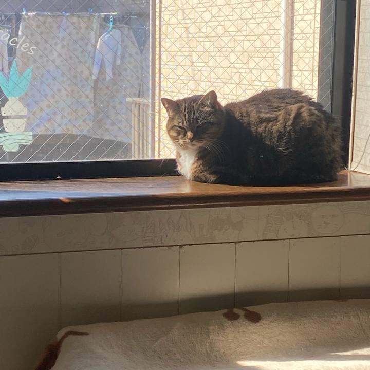 Bc313e39 5bf8 4e22 ac3d 007cc9c12c0d 1680997882809