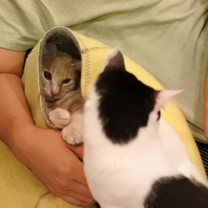 Bc315b5a 32f5 4080 82fd 865d07b5239a 1560417371216