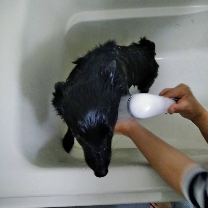 Bc31954f 9d8c 4a3a 956e 2ab60f41b63f 1557019361386