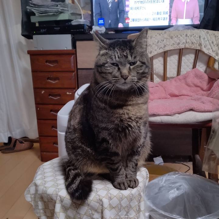 Bc31a04d 1c1b 4d2a baeb d8311709c214 1712182666869