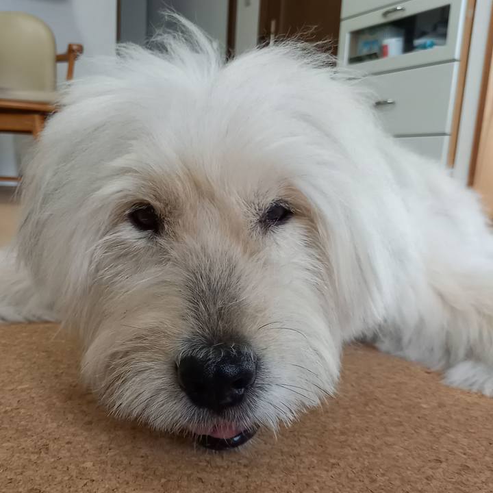 Bc31dffc a473 4eac ba2b d89ff260806d 1629672972728