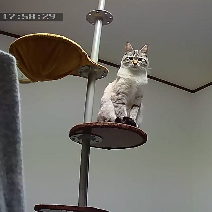 Bc31fa8c 7aca 404f 82db 9cd39dd68e7b 1555491636046