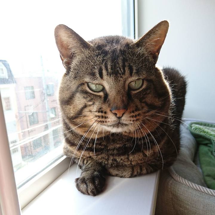 Bc321090 b495 4b45 868e 27dfde19ee58 1533623928269