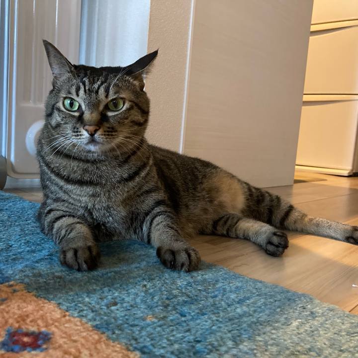 Bc322f2b 628b 49ee a8ef 4c925ad83344 1633138392230