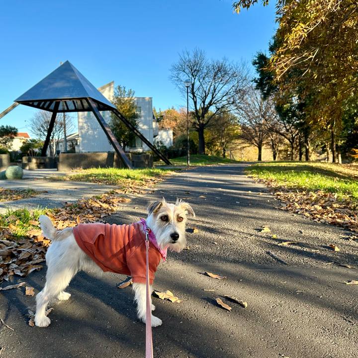 Bc32308b 8229 46bc 86de 7a0b6f76452c 1701676467687