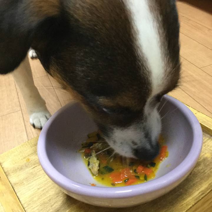 Bc324238 3786 4bdc 9634 aebd2feea2d4 1549787035358