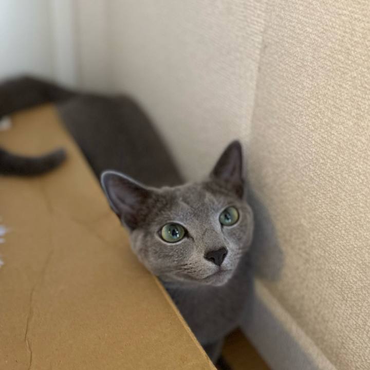 Bc324d8f 7e8b 4ab7 8c78 496508063fce 1687910010022