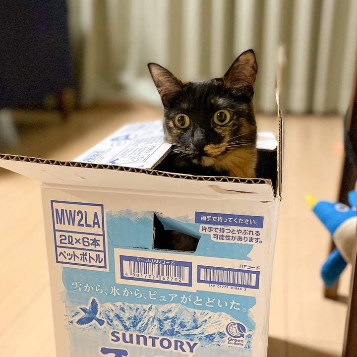 Bc324f14 3e05 4942 85f4 d934e8d65c50 1660575764405