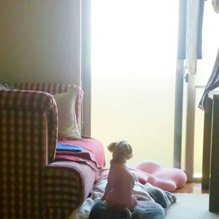 Bc325798 25ff 4e06 87bf b1f1c484a221 1525399635341