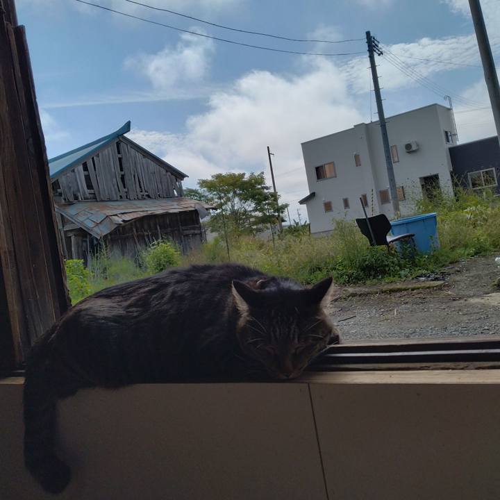 Bc333edb c951 4531 b634 77239836ac33 1664085675997