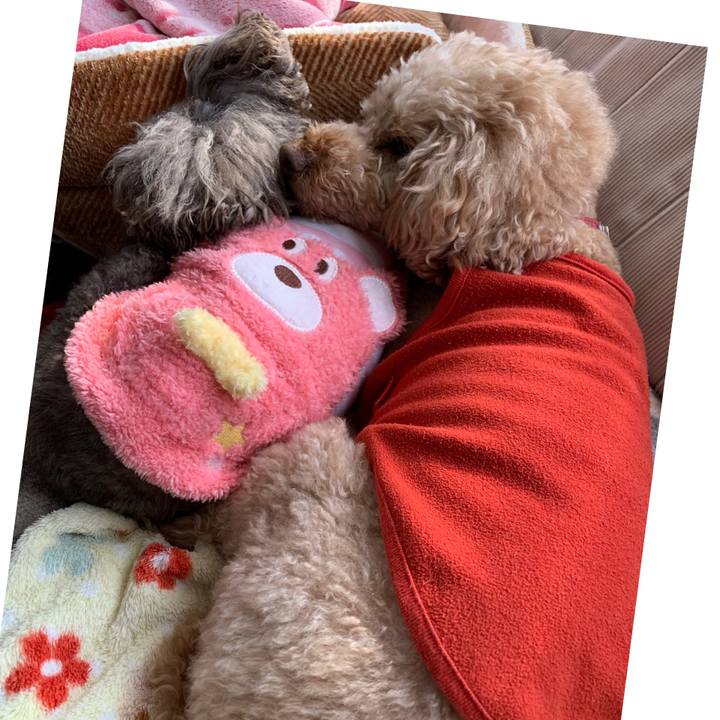 Bc337397 bfd1 4459 b8a3 4caa8d50a3f8 1605055472558