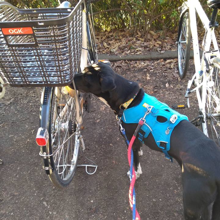 Bc33c1e0 b69e 4578 bd1a b000be0263e6 1612059953390