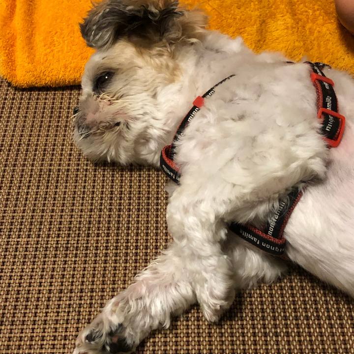 Bc33d786 acf7 48bb aee6 4ef8f8580da1 1601589171289