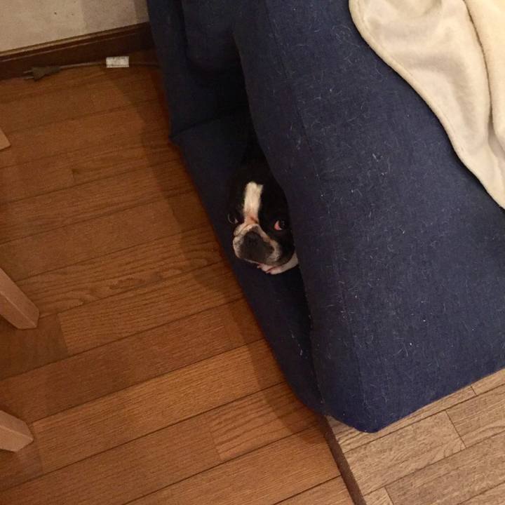 Bc34017e 0ee9 45a6 9cd1 0e7839d7570a 1537832395735