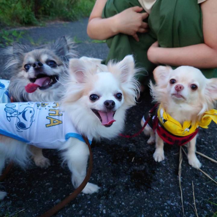 Bc340b47 049f 4ffc ad9e c085823adfc6 1626488770285