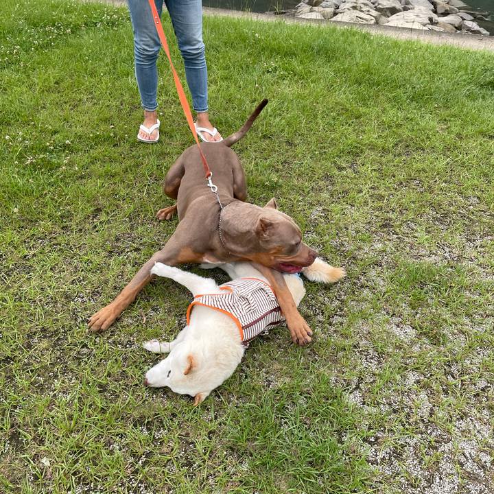 Bc34138d c607 4af3 85fa ad1e492c2c5f 1657205723866