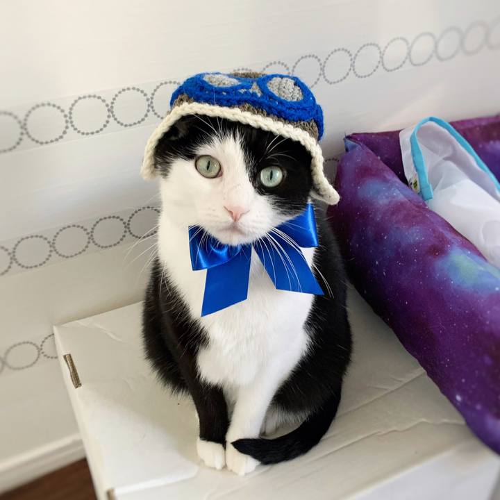 Bc345042 626d 49ef 8903 2351fa4a4f6d 1572443301743