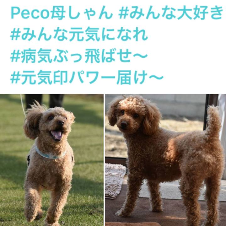 Bc3469a1 2abb 454f 9e23 05a3349c2bac 1525776811771