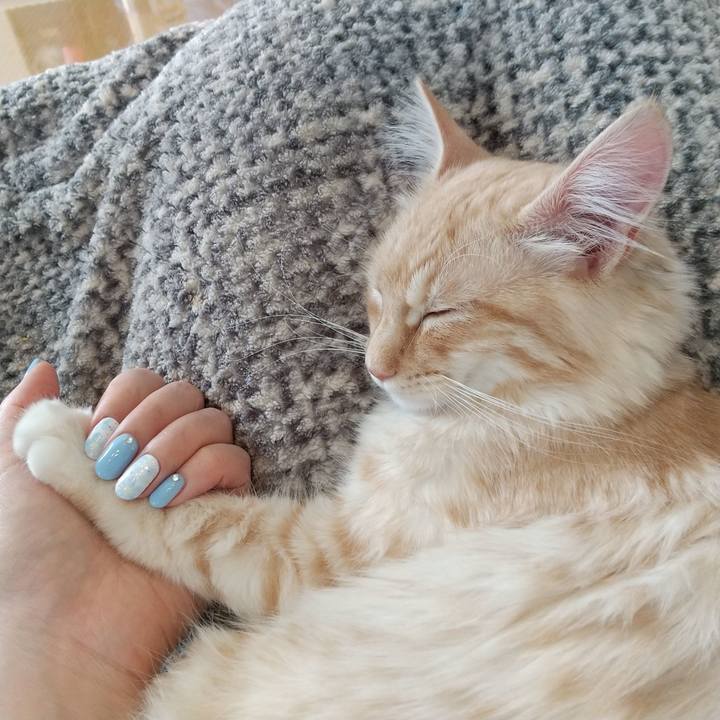 Bc349612 6cbf 467d 94e3 c76db9a2787a 1613875863066