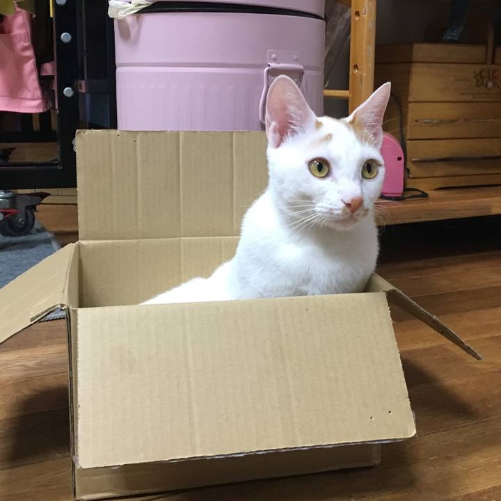 Bc34c3ef 2bc7 4ec5 b47e 093f16706464 1511008740851